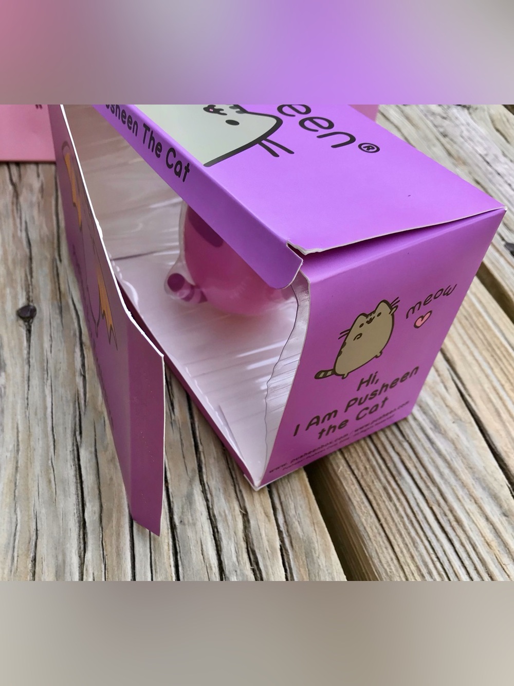 2016 PUSHEEN Cat Bat Halloween Subscription Box Vinyl Figure Toy Decoration - Picture 11 of 11